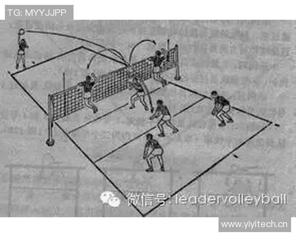 深圳排球队进攻策略分析与战术解读助力球队崛起
